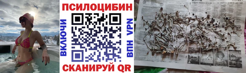 Галлюциногенные грибы MAGIC MUSHROOMS  Котельники 